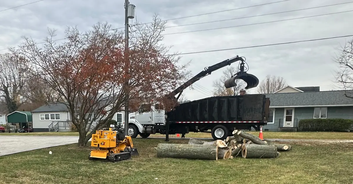 Land Clearing