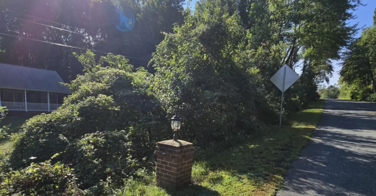 Shrub Trimming