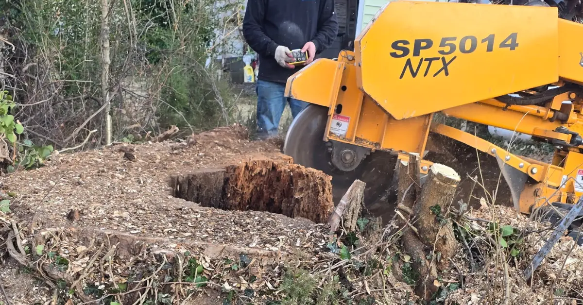 Stump Grinding | Northern Virginia | Premier Tree & Landscaping