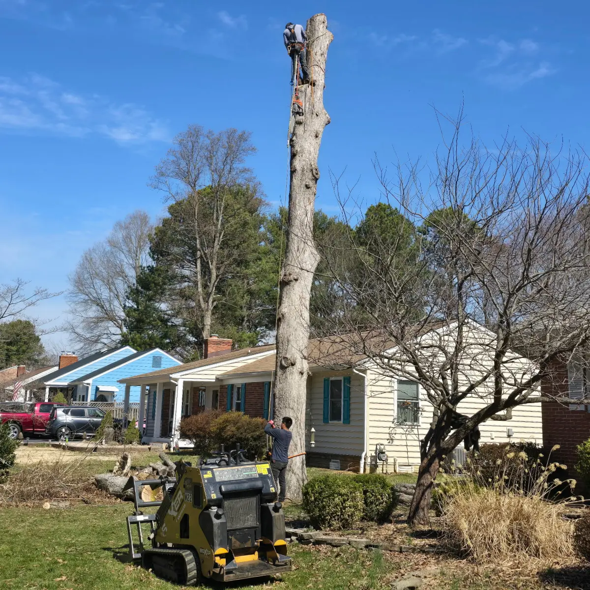 Tree removal crew working in Warrenton, VA