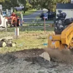 Stump Removal & Stump Grinding